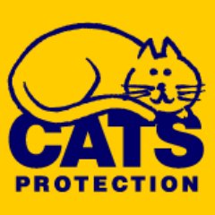 Cats Protection Adoption Centre in #Chelmsford

Our vision is a world where every cat is treated with kindness & understanding. #ADOPTdontshop !