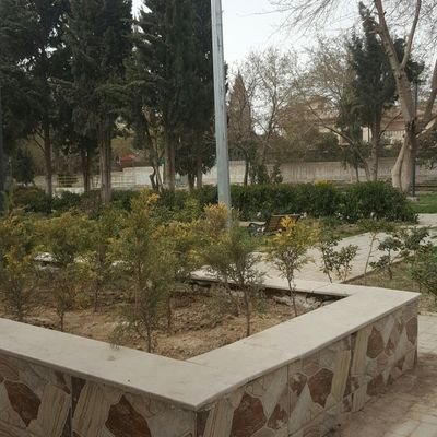 iamMohammadAsif's profile picture. I love srk! Bussiness Man nd Proffesional Sports Man! National Champion, Internation nd World
Player! Friend on facebook, user name ( Dominopitachi ).