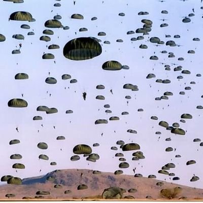 terrenal166's profile picture. Solo soy un simple terrenal