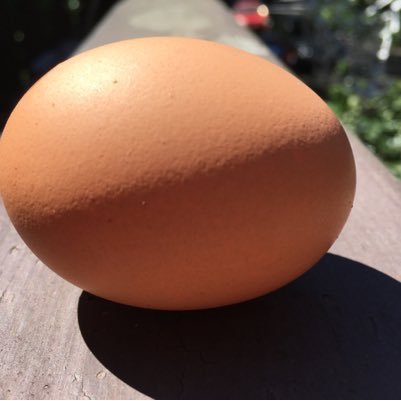 MaggieDupree's profile picture. Bella Ciao