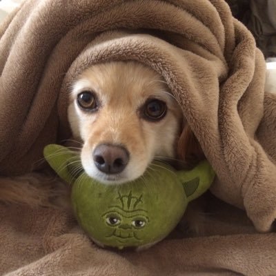 FudgeJenni's profile picture. 