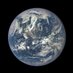 Global Human Shame (@karenfullerton2) Twitter profile photo Global Human Shame (@karenfullerton2) Twitter profile photo
