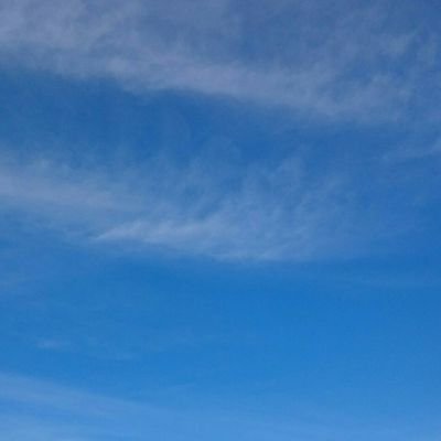 Nattsvunnen's profile picture. Relationsdesperation.                                                             Att leva med ngn har autism, drag av borderline och som är sexmissbrukare.