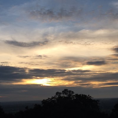 jokovicist34's profile picture. 