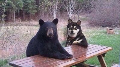 ptolemeu1's profile picture. 