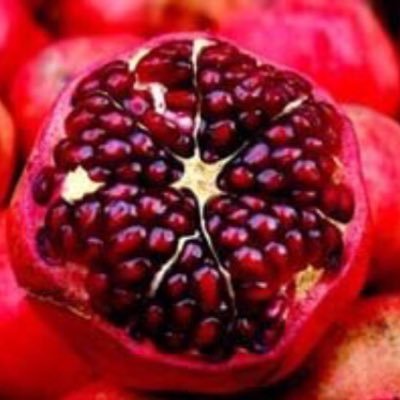 ako717ninnin's profile picture. 2016年36歳で治療開始＊採卵⑪移植④流産①着床②、チョコ有／激低AMH(0.03)／抗リン脂質抗体・血液凝固異常／重度男性不妊(静脈瘤オペ後改善せず)／治療と仕事と家事の頑張りすぎ→適応障害→休職／助成金無し／3院目RCTへ遠方通院、8w稽留流産、2020.2移植④で着床②→13w卒業、2020.11出産