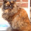 Howard Bland - @HinPoole - Twitter