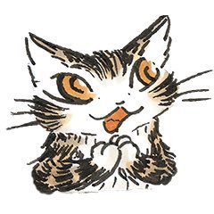 sasakisasa11's profile picture. 