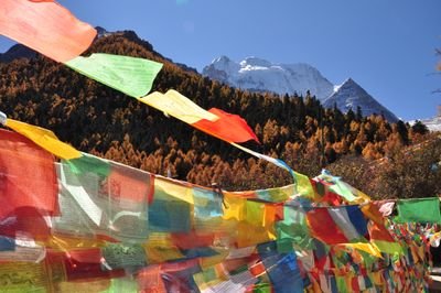 meibingann's profile picture. เพลง ท่องเที่ยว ศิลปะและวัฒนธรรม สุขภาพ หนังสือและวรรณคดี อาหาร