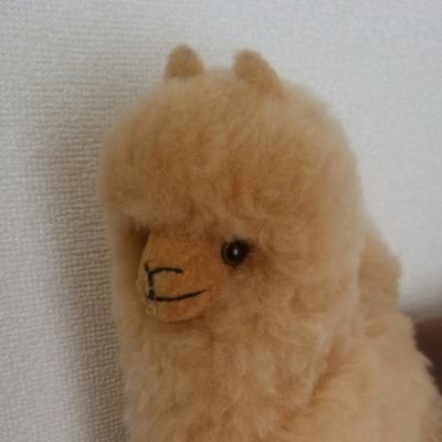 パウ 余りにも休みに掃除するのがしんどくて ロボット掃除機買ってしまった 狭い部屋なので小さくて特に頭のよくない 安めのにしたけど たまに迷ってるのかわいくてずっと見てる でもまじで綺麗になる すご パウ 余りにも休みに掃除するのがしんどくて ロボット掃除機買ってしまった 狭い部屋なので小さくて特に頭のよくない 安めのにしたけど たまに迷ってるのかわいくてずっと見てる でもまじで綺麗になる すご