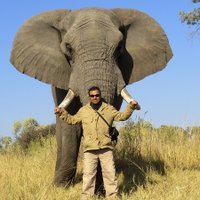AfricanMecca Safaris(@AfricanMecca) 's Twitter Profile Photo
