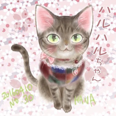 寄付企画お休みしています🙏ハンドメイドアカから猫愛アカウントに変更します。詳しくはブログまで。ペットアカ @nekokanrinin070 ブログhttps://t.co/srulmJusd7