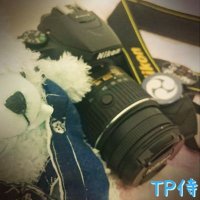 TP侍@落ちこぼれの人間嫌い (@tp_samurai) Twitter profile photo