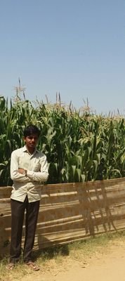 bhavesh982patel's profile picture. 