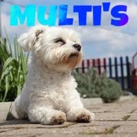 〜Multi's〜 マルチーズ (@multis_sougo) Twitter profile photo