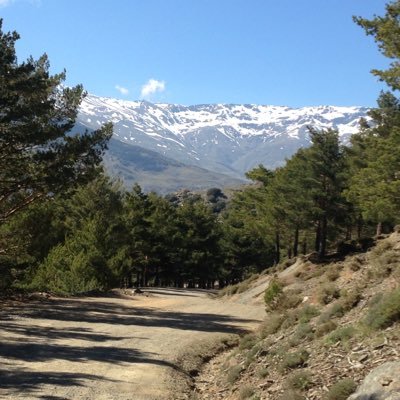 Tinagoldsmith6's profile picture. Tea drinking, fun loving, business owning, Mum, wife, Guide leading individual.