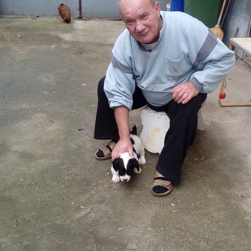 perosevic1bozo's profile picture. pitaj