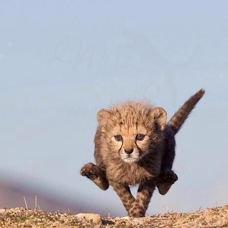 jobless8work's profile picture. Need I say More....