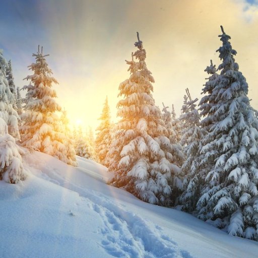 filosofi77's profile picture. 