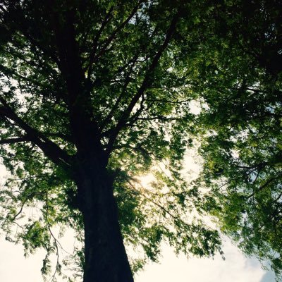 daikarakite's profile picture. スターウォーズ好き！ marvel好き！ ハリーポッター好きです！