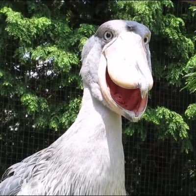なかのさんのプロフィール画像
