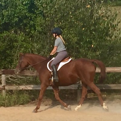 conleeclark's profile picture. 