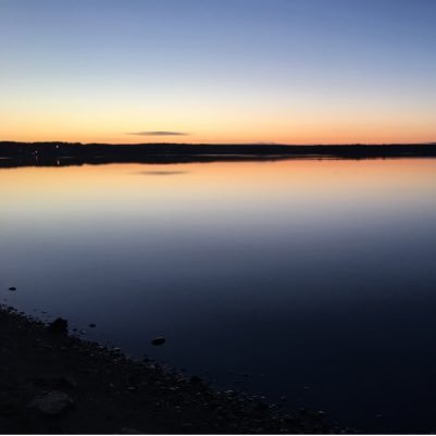 newport_native's profile picture. 