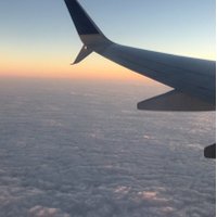 Andrea Stewart (@acstew876) 's Twitter Profile