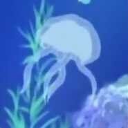 りーふぃあれもん (@leafierlemon) 's Twitter Profile Photo