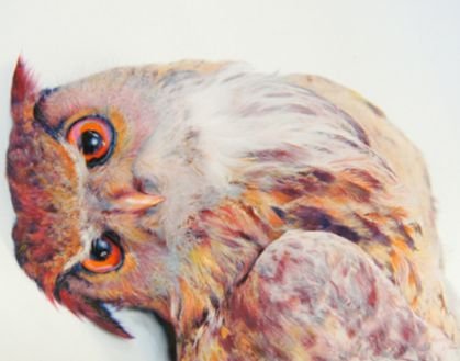 brygidaska's profile picture. grupa niezależnych artystów,
alternatywa dla owczego pędu piewców pińcet plus, nie odpowiadamy na głupie pytania