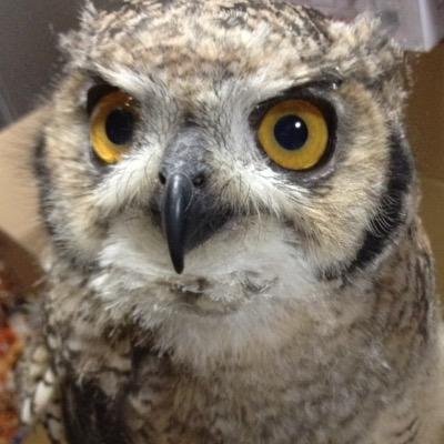 もふばとさんのプロフィール画像