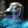 kinoko51's profile picture. タカトミおもちゃ大好きおじさん