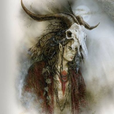 notajediyet6's profile picture. 