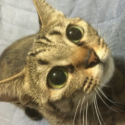 lgm_tm's profile picture. 