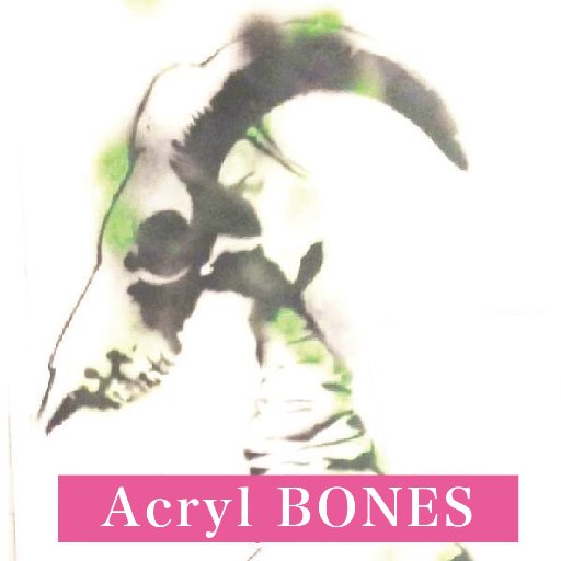 Acryl BONES【通販】さんのプロフィール画像