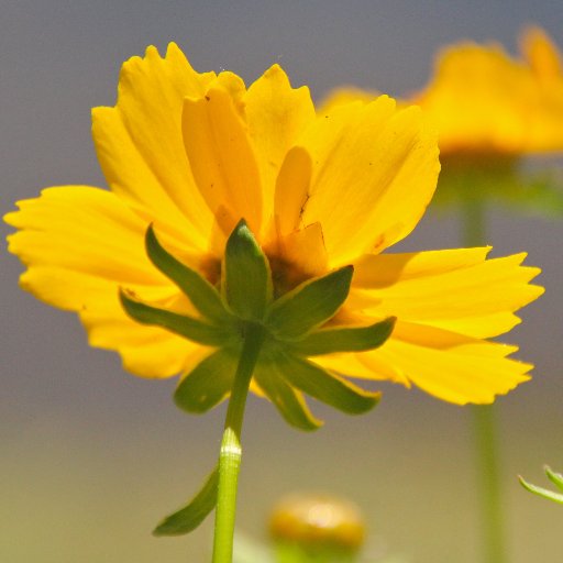 Hoosier216's profile picture. NOTHING is more important than taking care of our beautiful Earth! #bluecrew #climatecrisis #independent #FBR Block Rude people