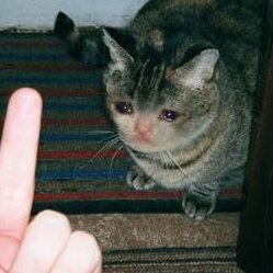 fookinducks's profile picture. 