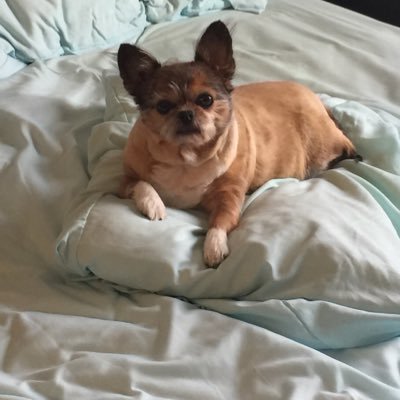 brikel2's profile picture. 