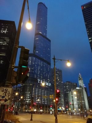 qiu_garybai's profile picture. 生活 新聞時事 國際 企業 影視