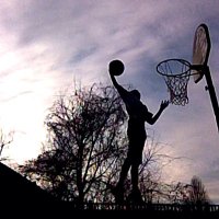 Alex (@thegoat2float) 's Twitter Profile