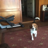 GRRRZZZ (@stephenmoc498) 's Twitter Profile