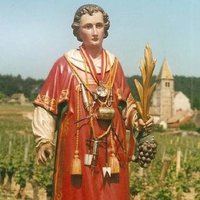 Le Vin Papillon (@vinpapillon) 's Twitter Profile