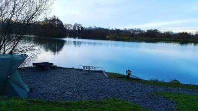 Feed for everything carp. OFFICAL TWITTER PAGE OF CARPTRAMPS