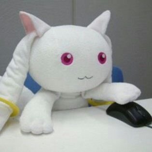 약괄이さんのプロフィール画像