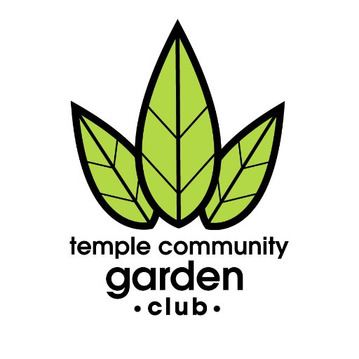 TCGinPhilly's profile picture. Temple Community Garden: A work in progress.