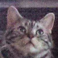 ptr-yudai (@ptryudai) 's Twitter Profile Photo ptr-yudai (@ptryudai) 's Twitter Profile Photo
