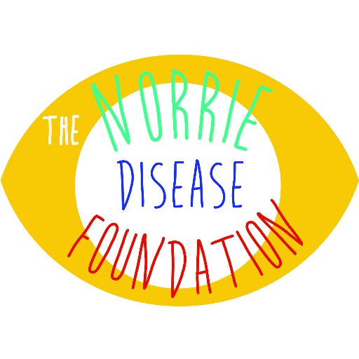 We are a registered charity called The Norrie Disease Foundation. Our aim is to promote vital new research and support families affected by Norrie Disease.