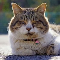 Galbraithian (@galbraithian999) 's Twitter Profile Photo Galbraithian (@galbraithian999) 's Twitter Profile Photo