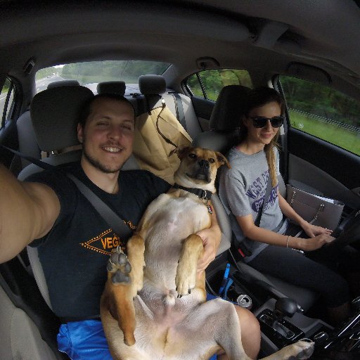 mattflood44's profile picture. 