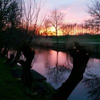 Jeroen F (@jeroferi) 's Twitter Profile